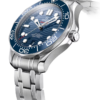 Omega Seamaster Diver 300M Co-Axial Master Chronometer 42mm (Copy) - United Luxury