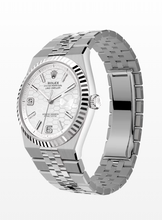 Land-Dweller 36 Oystersteel and white gold - United Luxury