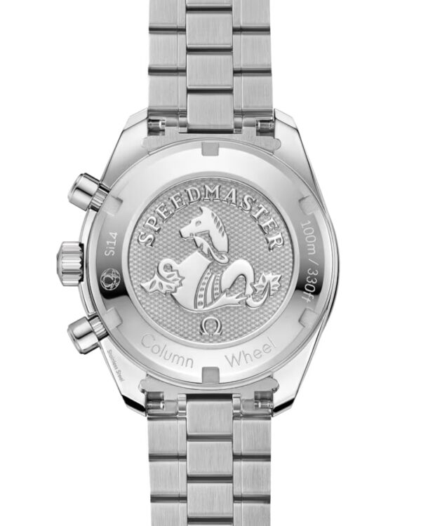 Speedmaster 38 38 mm, steel on steel - United Luxury